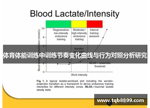 体育体能训练中训练节奏变化曲线与行为对照分析研究